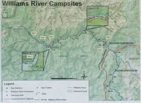 Williams River Campsite 11
