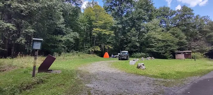 Williams River Campsite 11 Picture 2