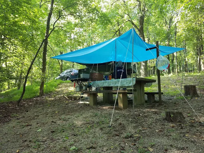 Peaks Of Otter Campground Picture 3
