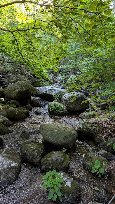 Peaks Of Otter Campground Picture 6