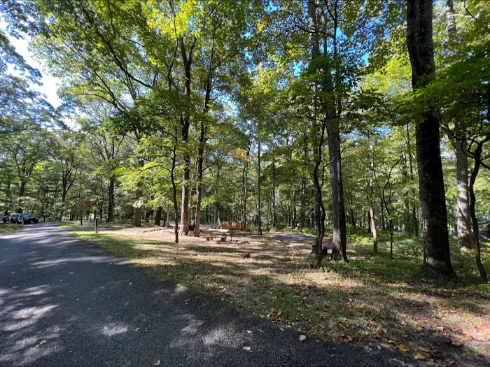 Peaks Of Otter Campground Picture 10