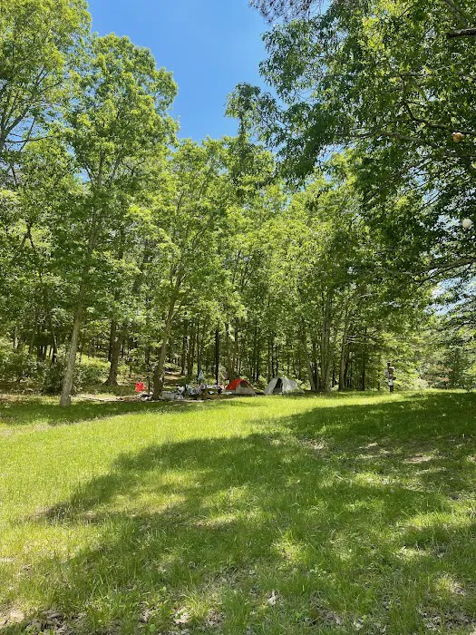 Greenwood Point Campground Picture 10