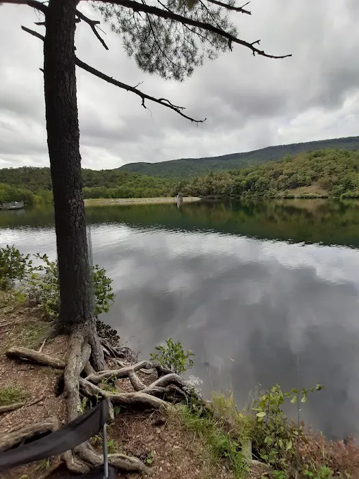 Morris Hill Campground Picture 3