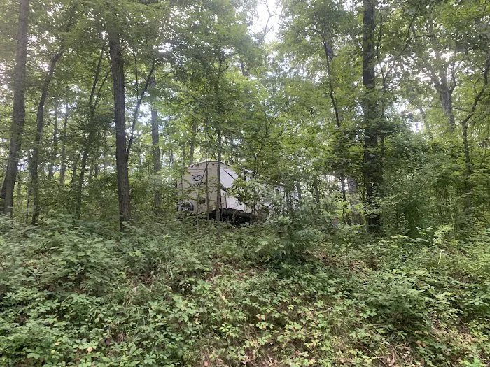 Morris Hill Campground Picture 10