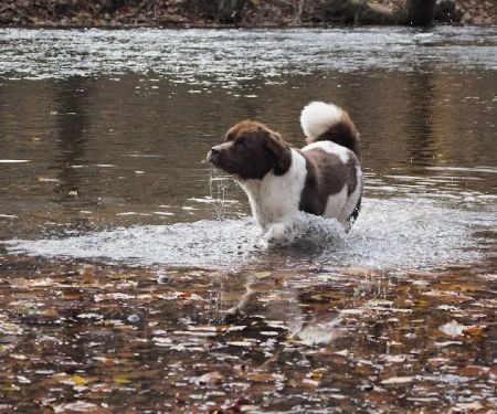 Craig Creek Recreation Area