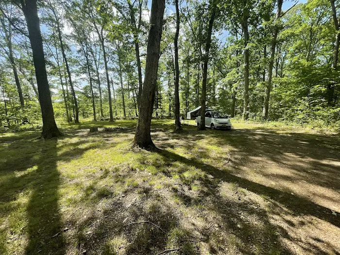 The Pines Campground Picture 5