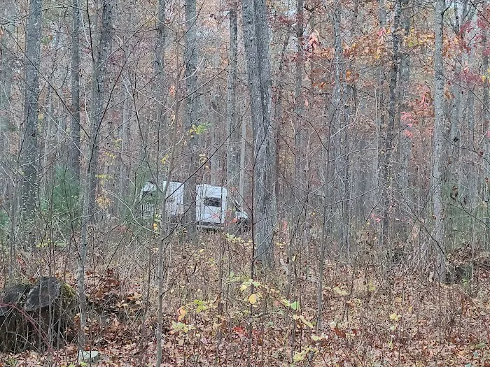 The Pines Campground Picture 6