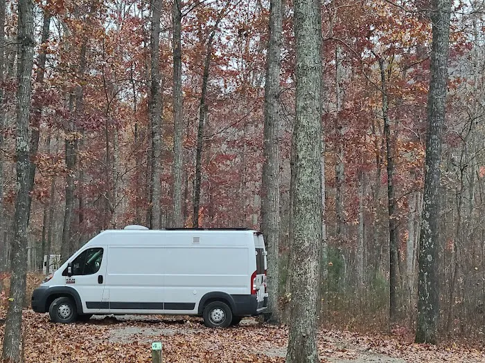 The Pines Campground Picture 10
