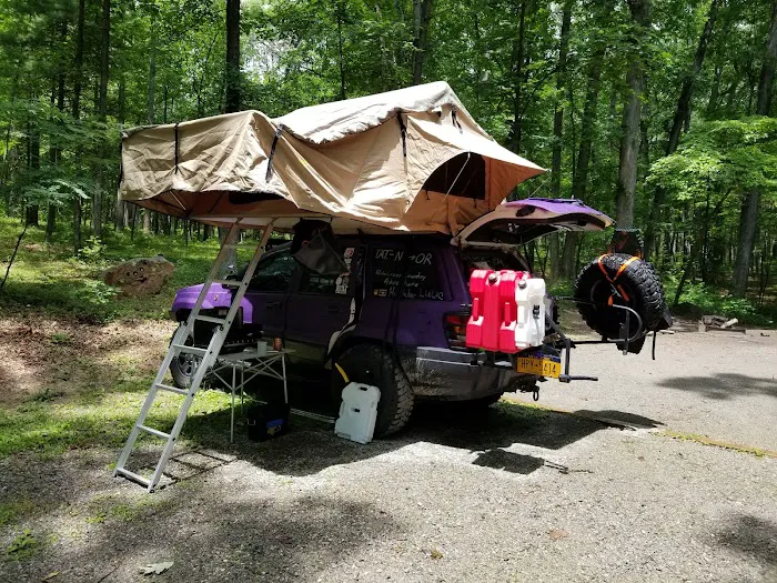 The Pines Campground Picture 8