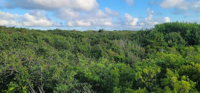 Barbour Hill Ocean Campsites 11-20 Picture 2