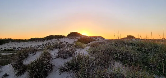 Barbour Hill Ocean Campsites 11-20 Picture 5