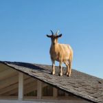 Sunrise Mobile Home Park