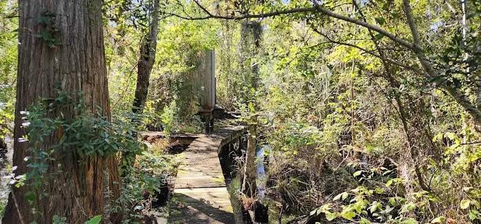 John’s Island Central Picture 1
