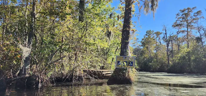 John’s Island Central Picture 2