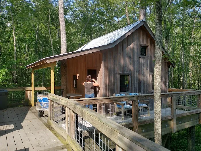 Cashie River Treehouse Village Picture 1