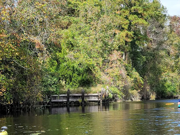 Cashie River Treehouse Village Picture 2