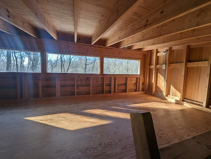 Cashie River Treehouse Village Picture 5