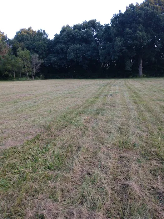IXL Mobile Home Park Picture 8