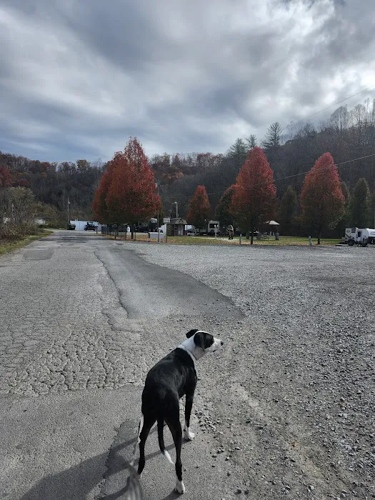 Triple L Campground Picture 8