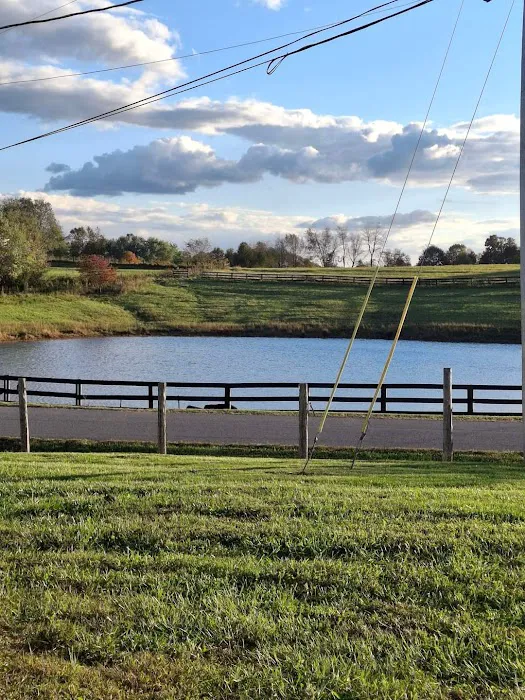 Southern Grace RV Park Picture 3