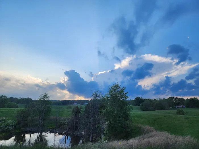 Southern Grace RV Park Picture 4