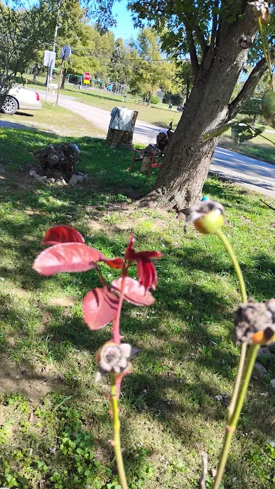Twin Oaks Mobile Home Park Picture 2