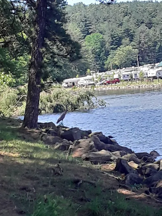 Tappan Park Amphitheater Picture 3
