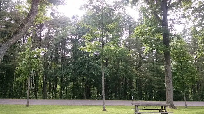 Clendening Lake Marina and Campground Picture 4
