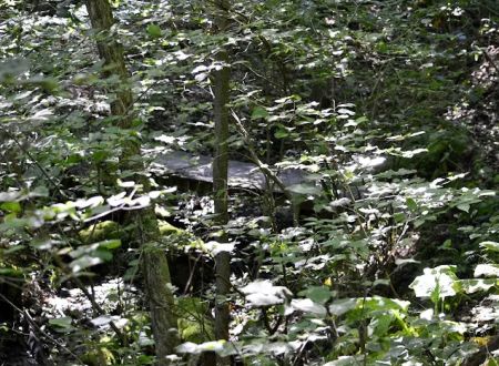 Leesville Lake South Fork Campground
