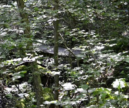Leesville Lake South Fork Campground