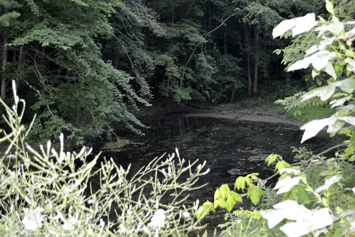 Leesville Lake South Fork Campground Picture 3