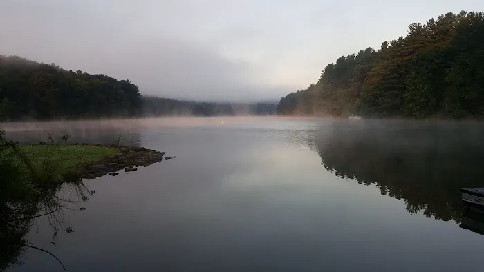 Petersburg Marina & Campgrounds Picture 5