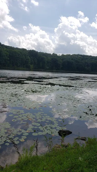 Leesville North Fork Marina & Campground Picture 5