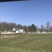 Camp Avery ico