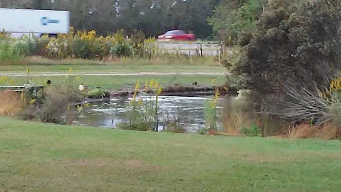 Whispering Oaks Mobile Home Park Picture 1