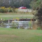 Whispering Oaks Mobile Home Park