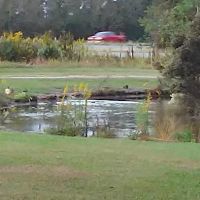 Whispering Oaks Mobile Home Park ico