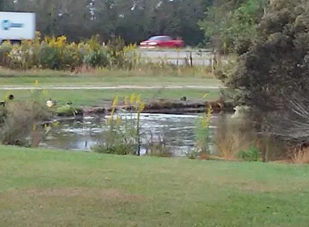 Whispering Oaks Mobile Home Park