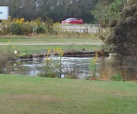 Whispering Oaks Mobile Home Park