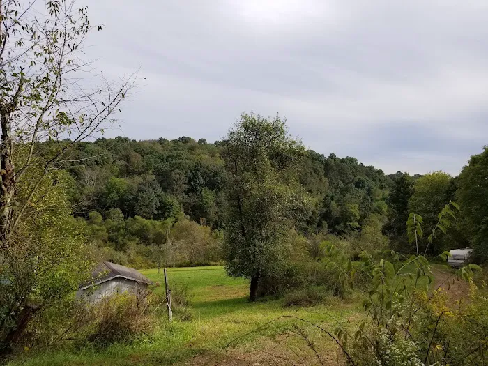 Harrison Hills Association Campground Picture 4