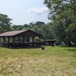 Hutch's grove
