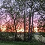 Croswell Estates
