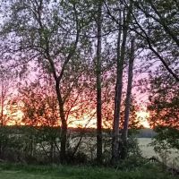 Croswell Estates ico