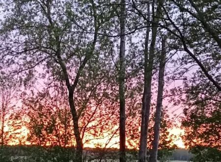 Croswell Estates