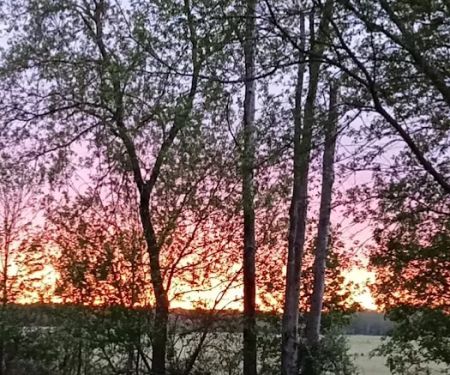 Croswell Estates