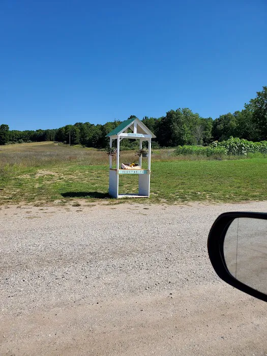 Frankfort Crystal Lake RV Resort Picture 8