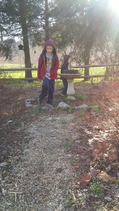 Paden City Park Campground Picture 7