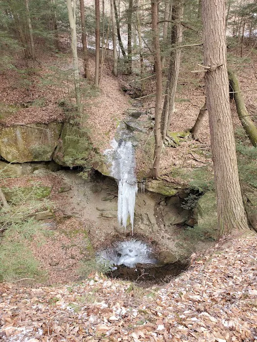 Piatt Park Campground Picture 10