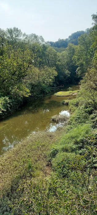 Ring Mill Campground Picture 9