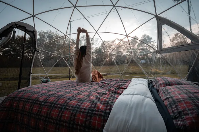 ComfyDome Picture 3